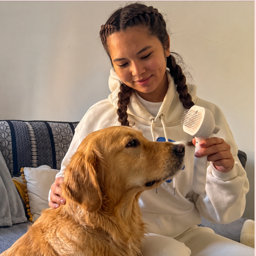 Velorax Pets™ 3-in-1 Steam Grooming Brush for Dogs & Cats